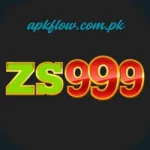 ZS999