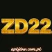 ZD22
